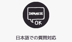 日本語での質問対応